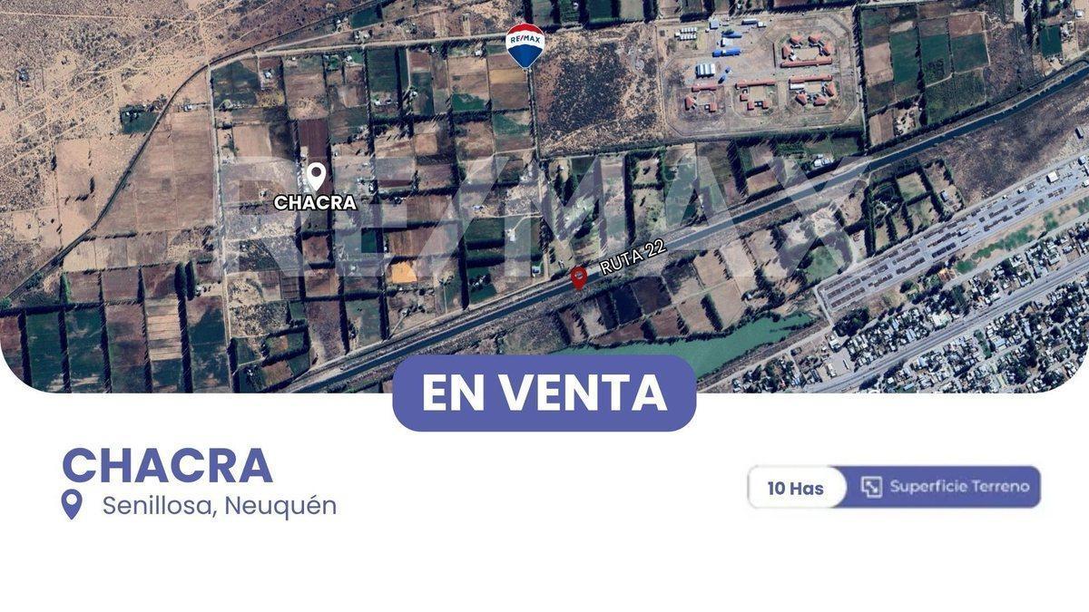 Foto de VENTA CHACRA 10 HECTAREAS CON CASA EN SENILLOSA, imagen 2