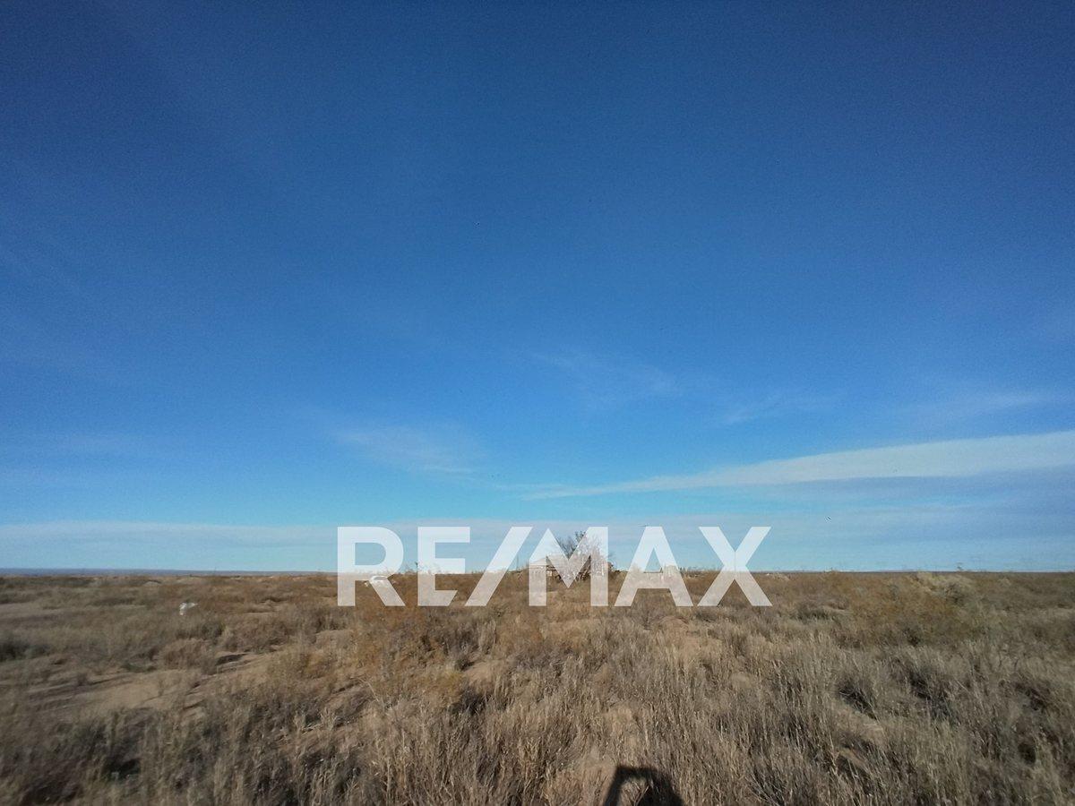 Foto de VENTA CHACRA 10 HECTAREAS CON CASA EN SENILLOSA, imagen 5