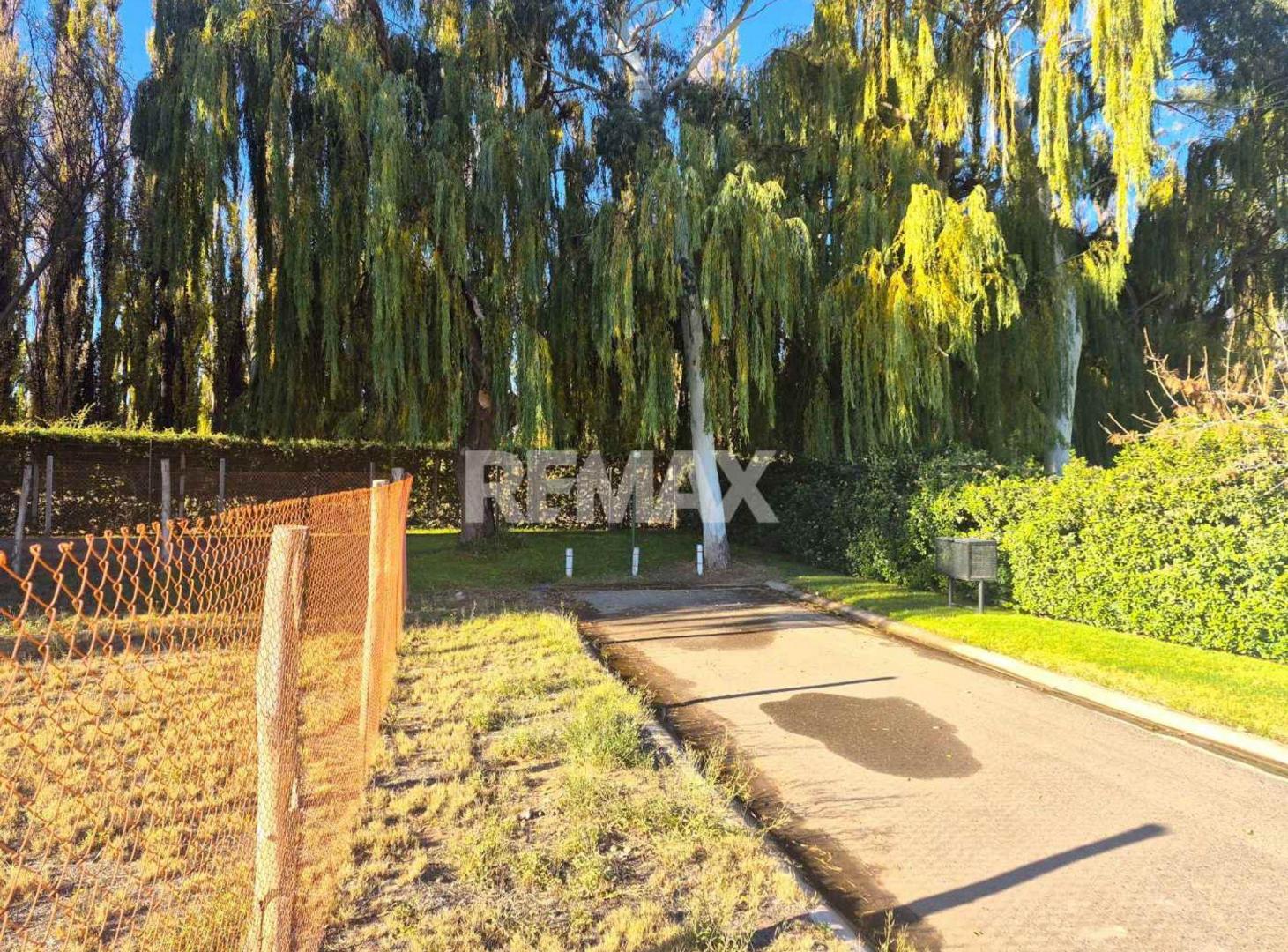 Foto de TERRENO EN VENTA | LA COMARCA, imagen 4