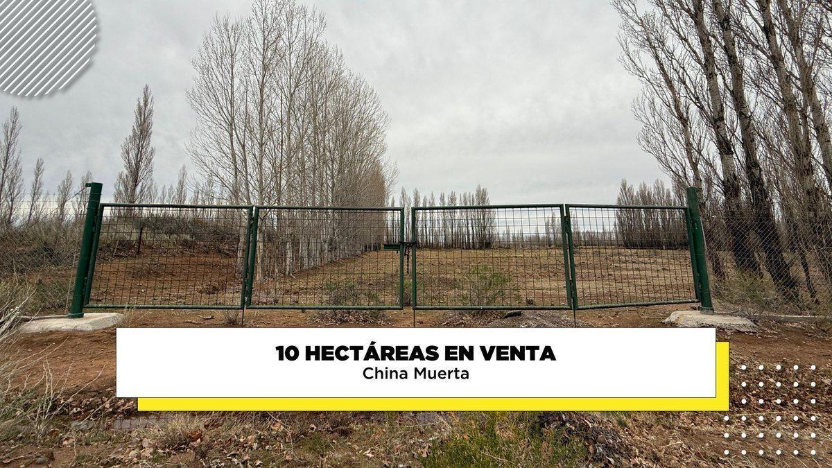 Foto de Venta Chacra 10 hectáreas - China muerta, imagen 1