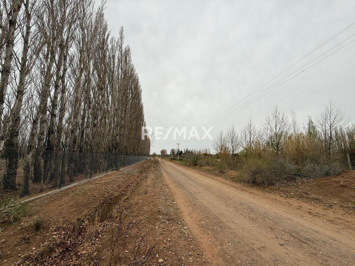 Foto de Venta Chacra 10 hectáreas - China muerta, imagen 2