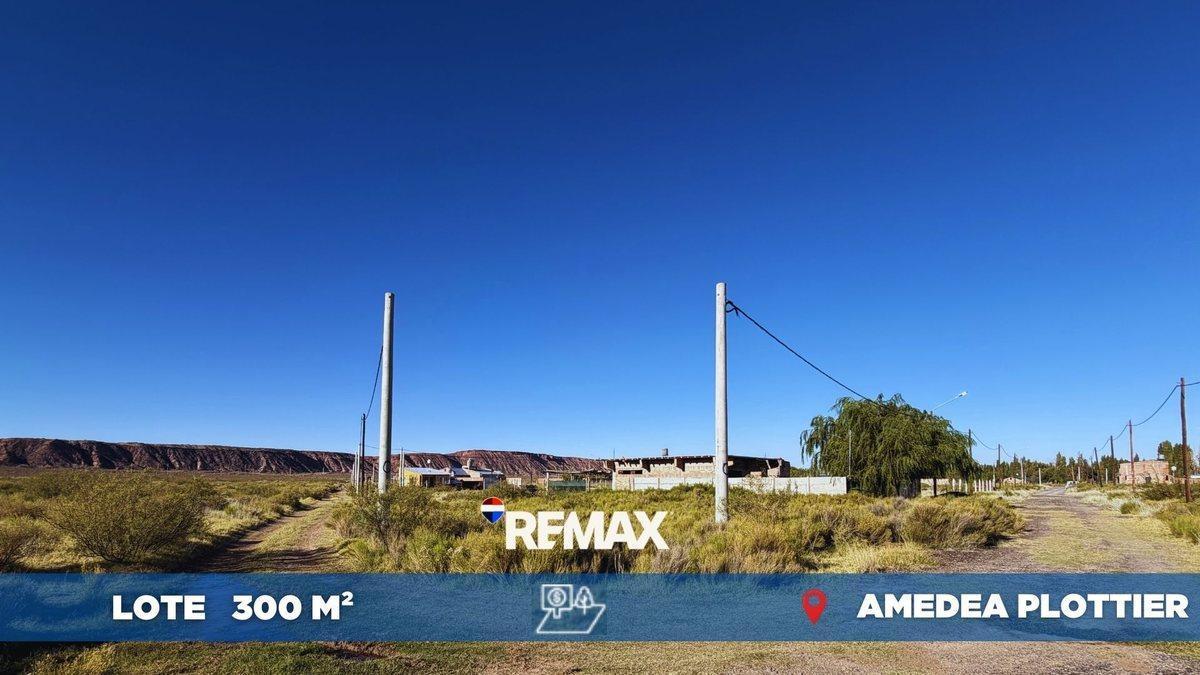Foto de LOTE PLOTTIER 300M2 AMEDEA, imagen 1