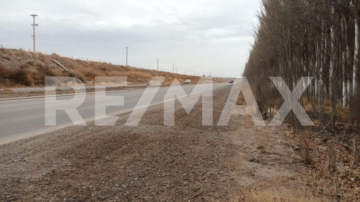 Foto de VENTA DE HECTAREAS - FRENTE RUTA 7 - VISTA ALEGRE, imagen 3