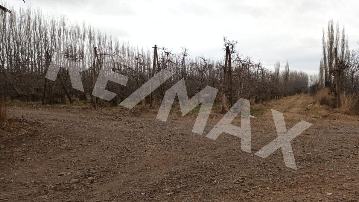 Foto de VENTA DE HECTAREAS - FRENTE RUTA 7 - VISTA ALEGRE, imagen 5