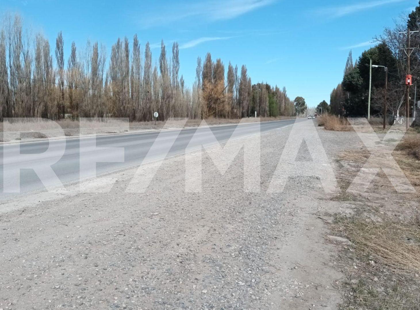 Foto de ALQUILER DE TERRENO CON FRENTE RUTA 7, imagen 4