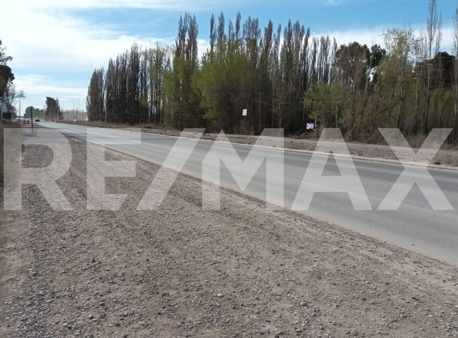 Foto de ALQUILER DE TERRENO CON FRENTE RUTA 7, imagen 1
