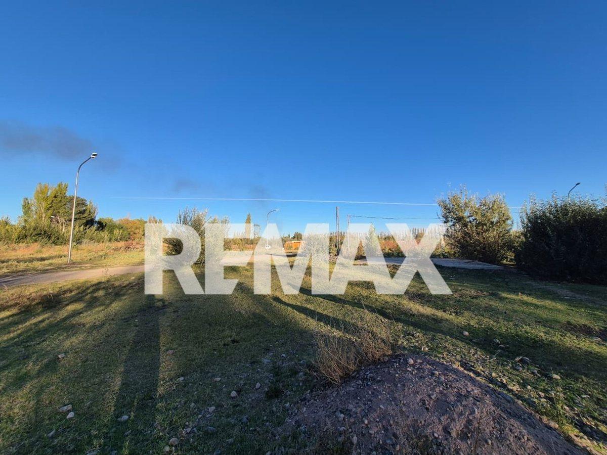Foto de Lote 427m2 con platea - luz y gas - Cinco saltos, imagen 5