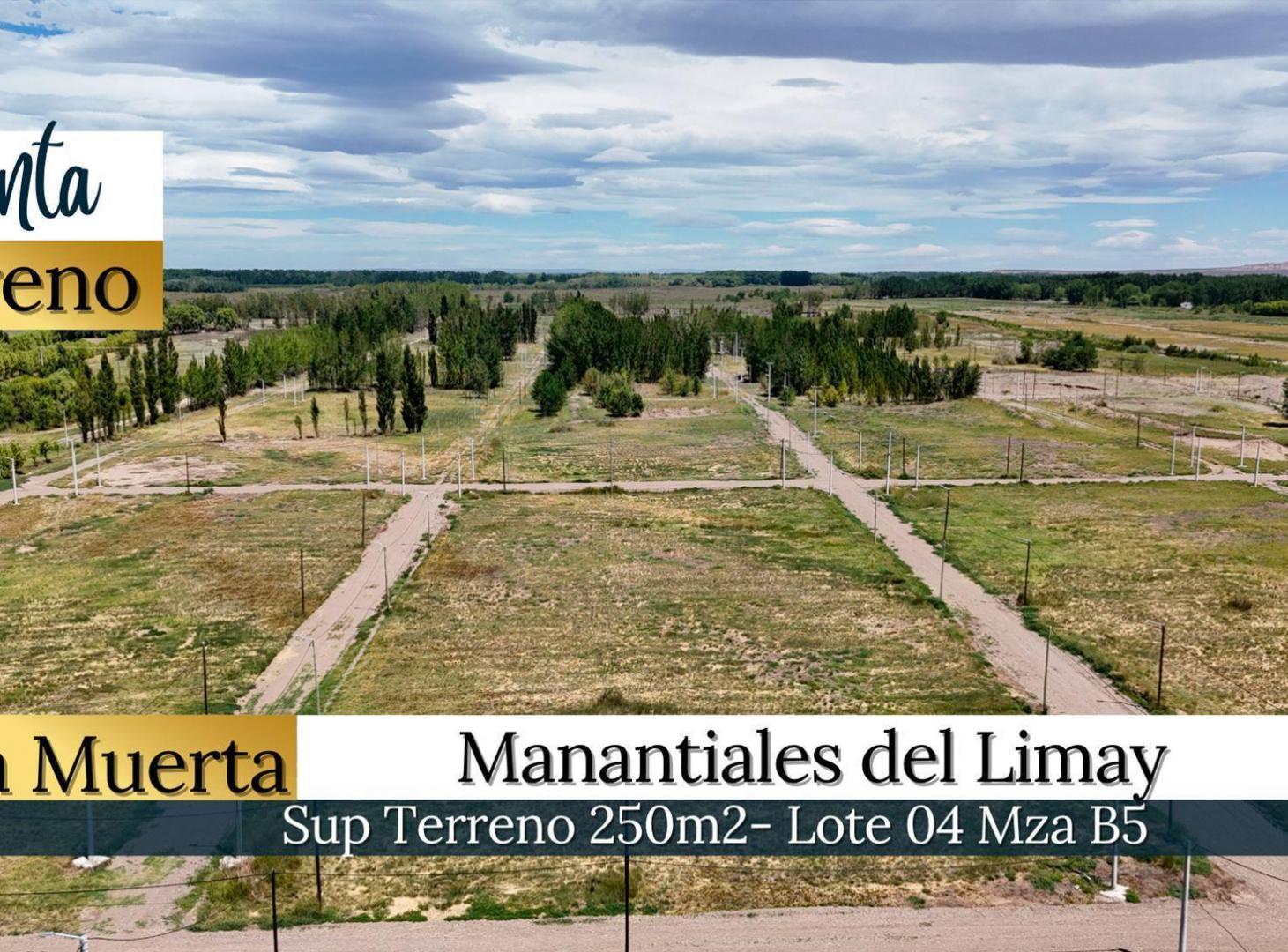 Foto de VENTA TERRENO EN LOTEO MANANTIALES DEL LIMAY - NQN, imagen 1