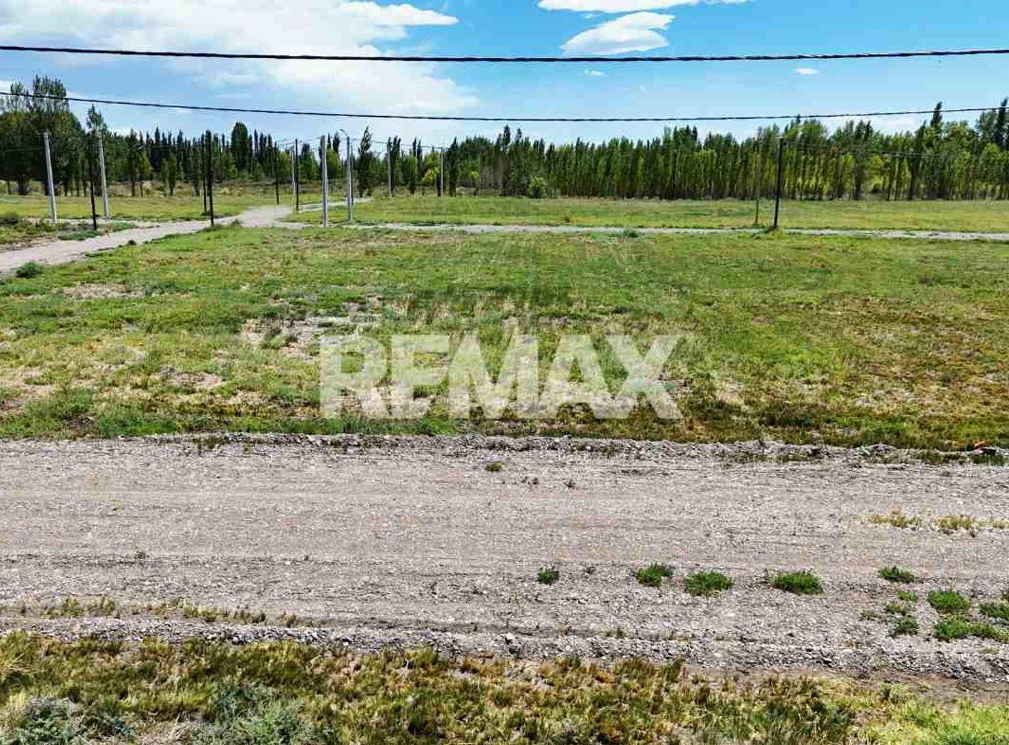 Foto de VENTA TERRENO EN LOTEO MANANTIALES DEL LIMAY - NQN, imagen 5