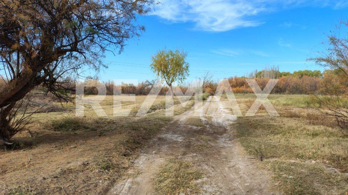 Foto de VENTA CHACRA APTA LOTEO , CON CASA , CENTENARIO, imagen 5