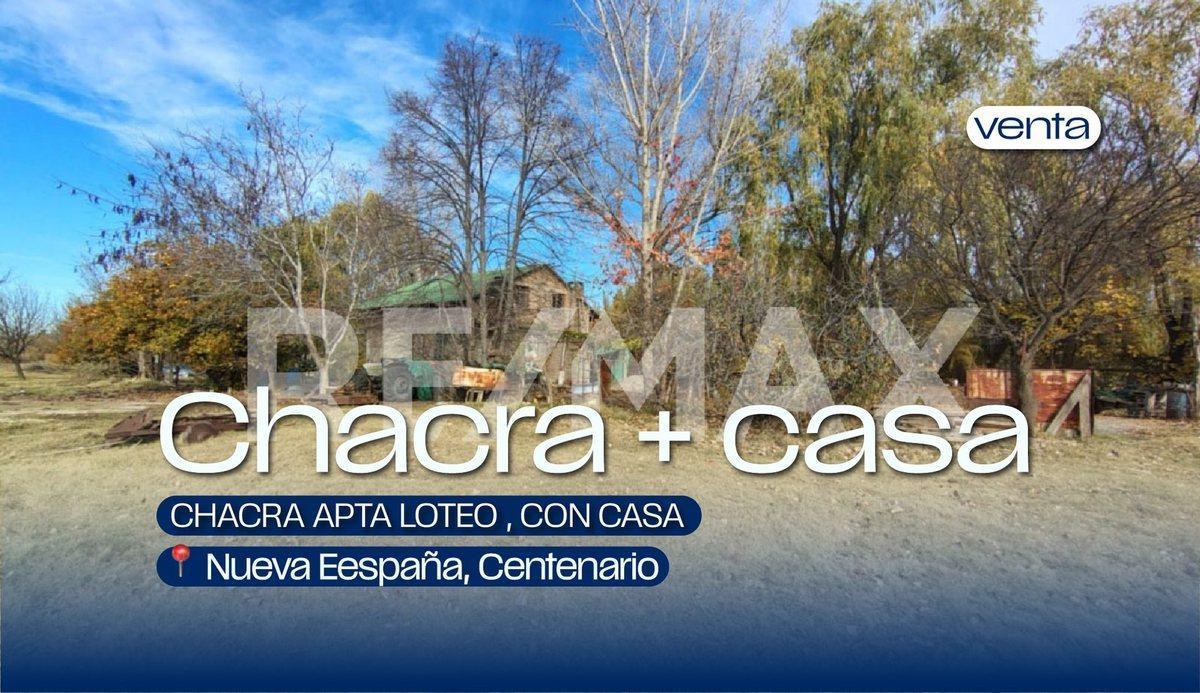 Foto de VENTA CHACRA APTA LOTEO , CON CASA , CENTENARIO, imagen 1