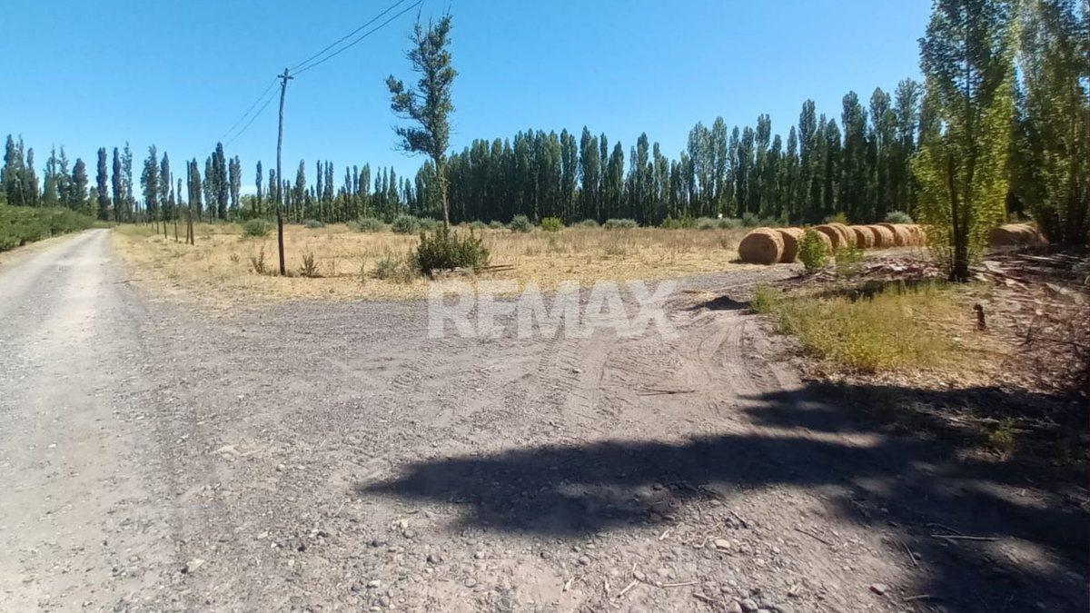 Foto de VENTA CHACRA 7.6 HAS - VILLA MANZANO - RIO NEGRO, imagen 1