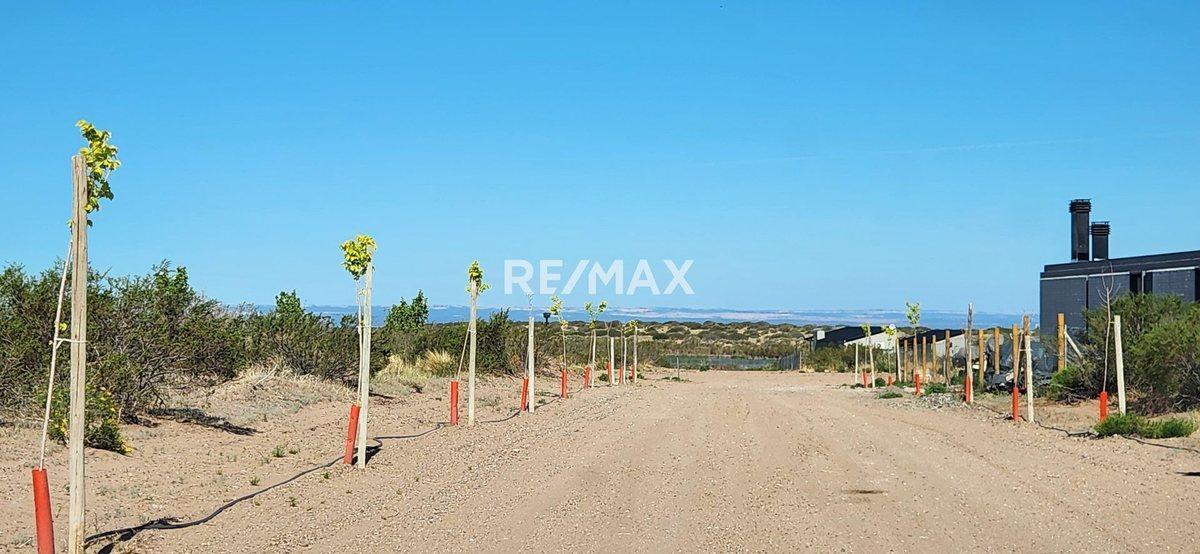 Foto de LOTE EN VENTA | CHOCON MEDIO | ETAPA MEDANOS, imagen 1