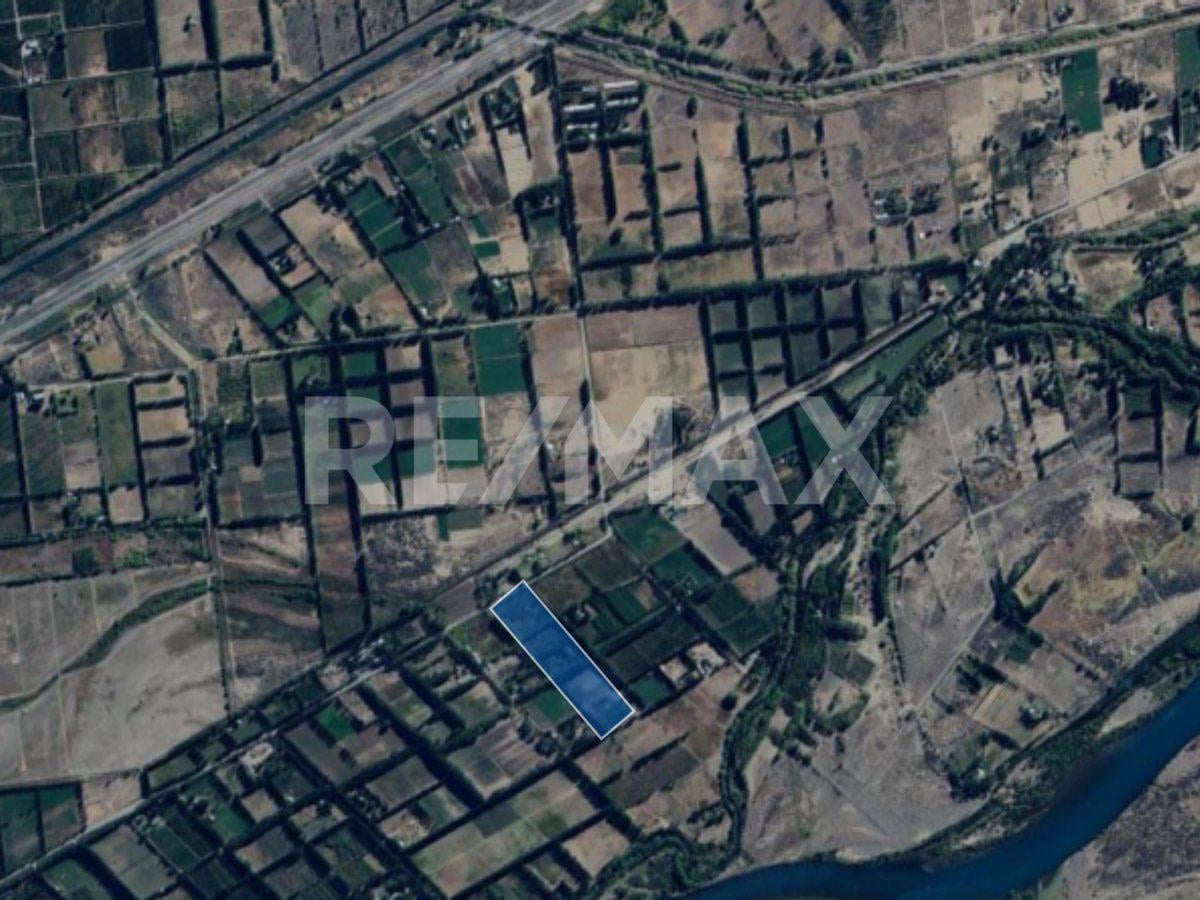 Foto de VENTA CHACRA 5,42 HA - SENILLOSA, imagen 5