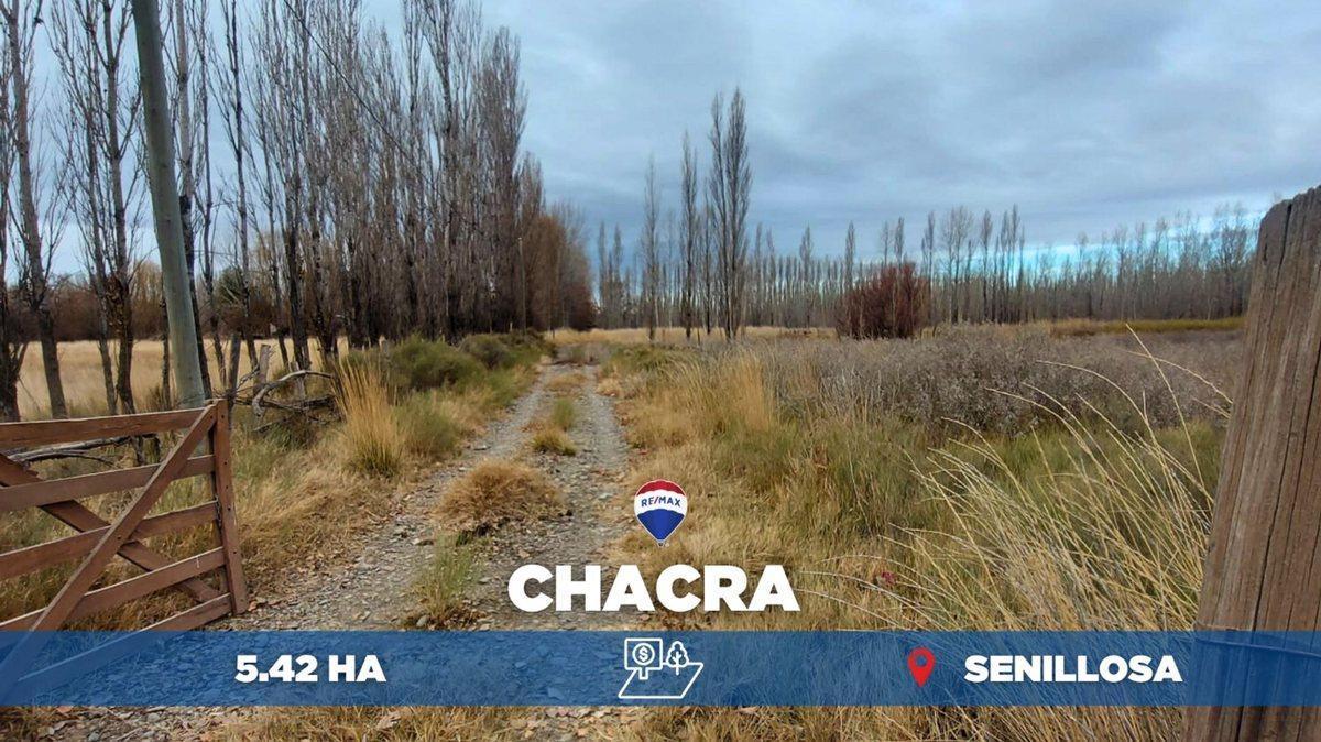 Foto de VENTA CHACRA 5,42 HA - SENILLOSA, imagen 1