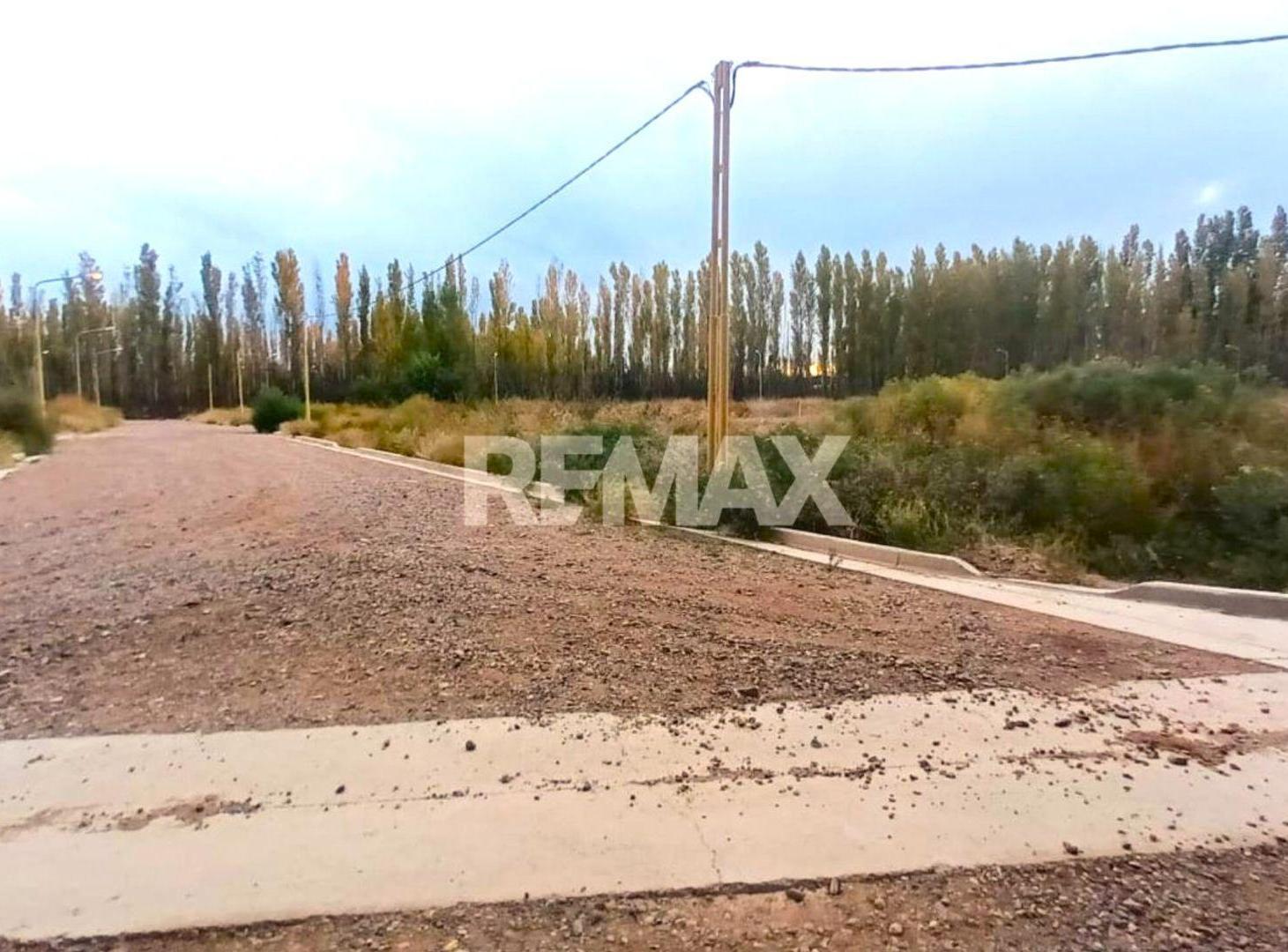 Foto de VENTA TERRENO EN CIUDAD DE CENTENARIO, imagen 5