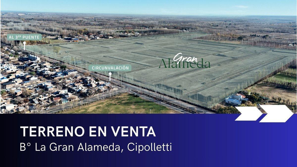 Foto de VENTA LOTES B° LA GRAN ALAMEDA | CIPOLLETTI, imagen 1
