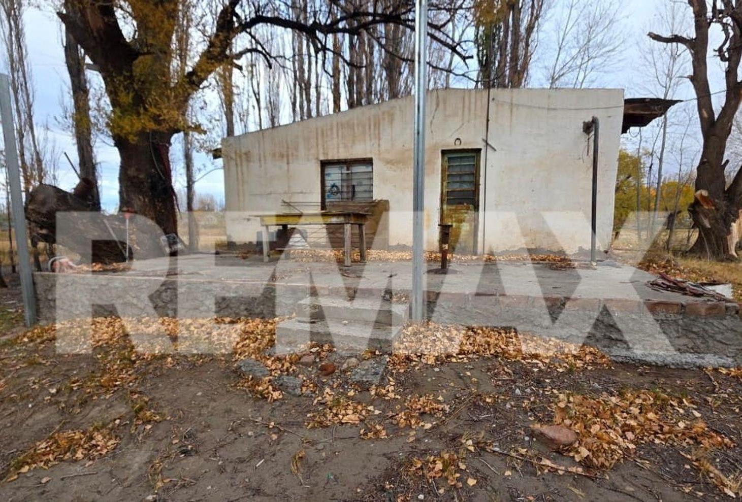 Foto de VENTA Chacra de 25,69ha en Isla 111, Senillosa, imagen 5