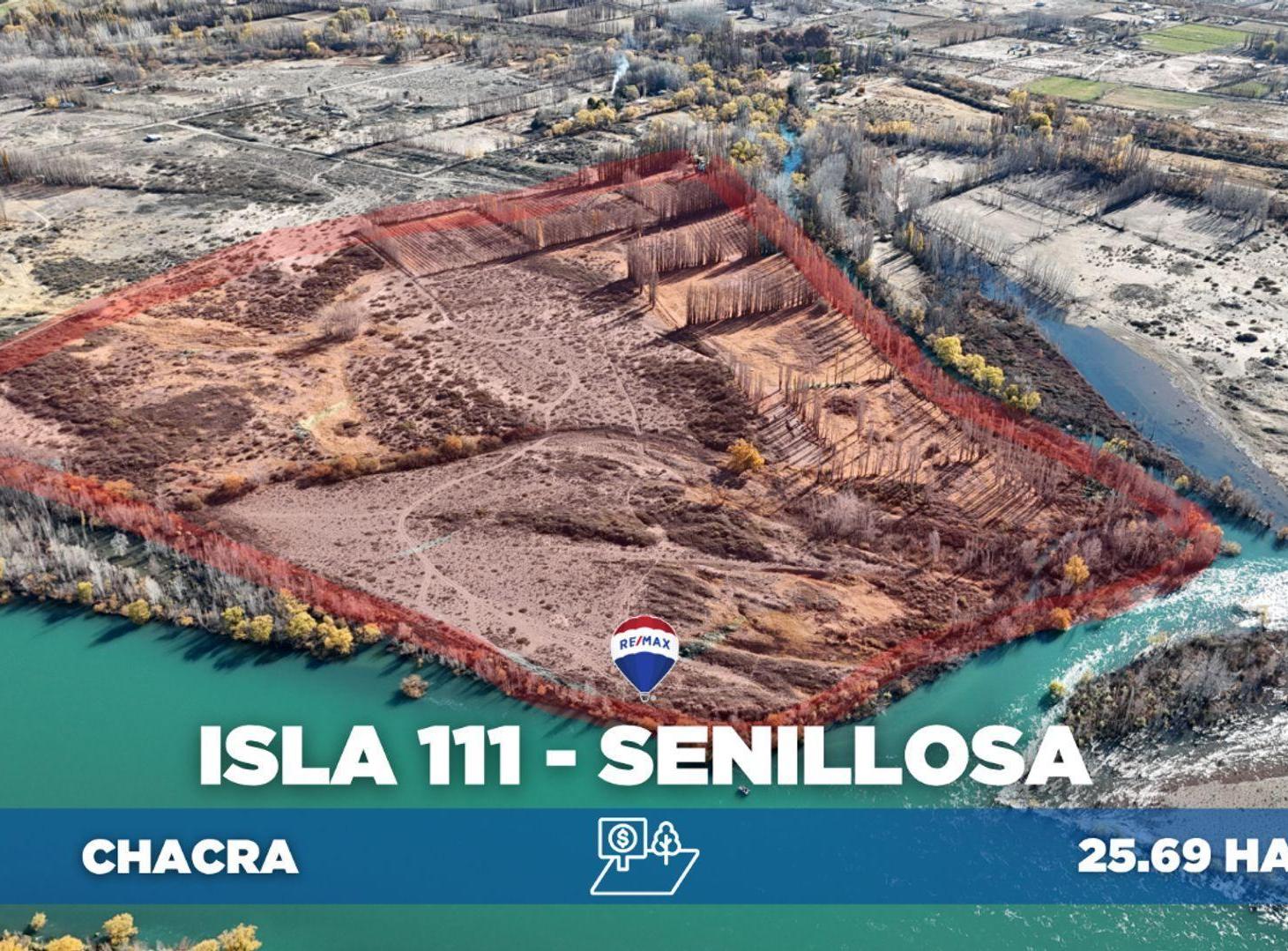 Foto de VENTA Chacra de 25,69ha en Isla 111, Senillosa, imagen 1