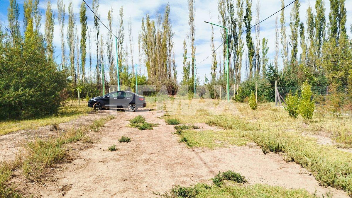 Foto de TERRENO LOTEO NUEVA ERA II CINCO SALTOS, imagen 1