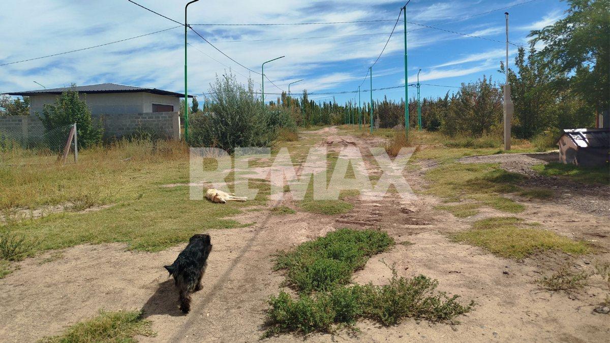 Foto de TERRENO LOTEO NUEVA ERA II CINCO SALTOS, imagen 5