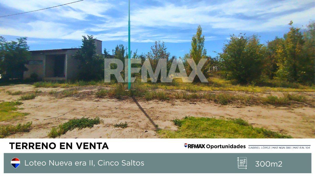 Foto de TERRENO LOTEO NUEVA ERA II CINCO SALTOS, imagen 4