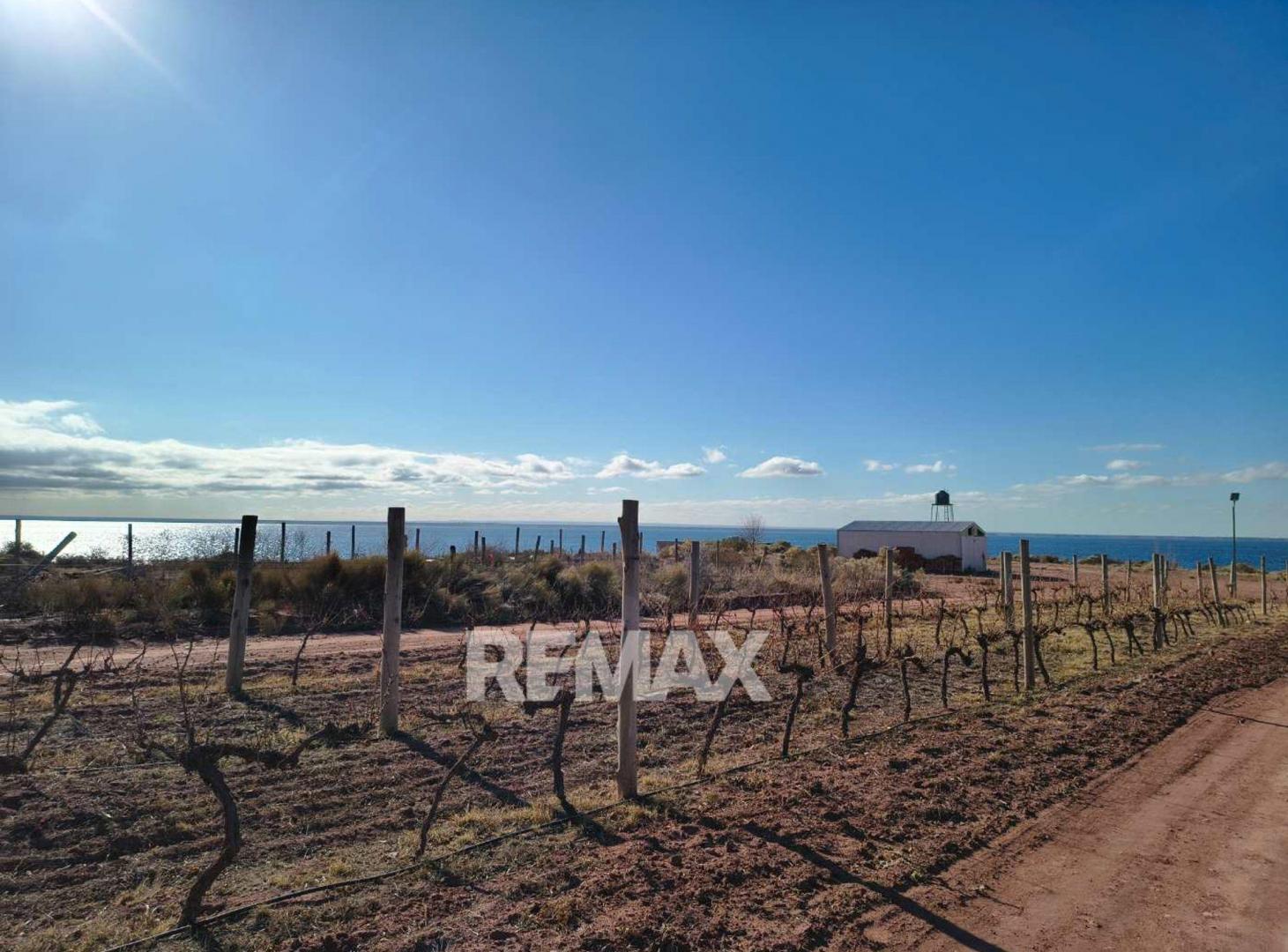 Foto de Venta Terreno Lago Mari Menuco, La Peninsula, imagen 5