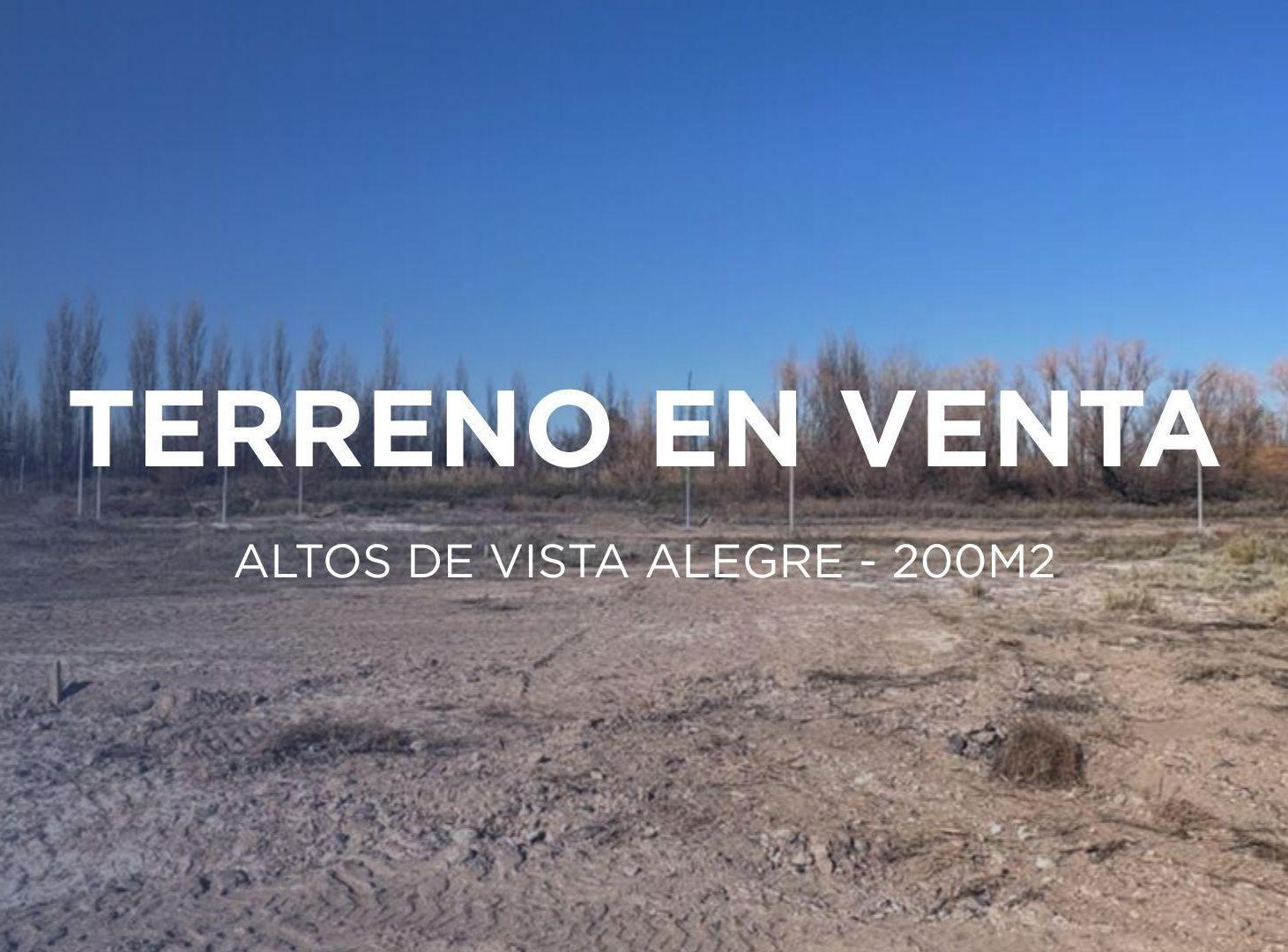 Foto de TERRENO EN VENTA EN ALTOS DE VISTA ALEGRE, imagen 2