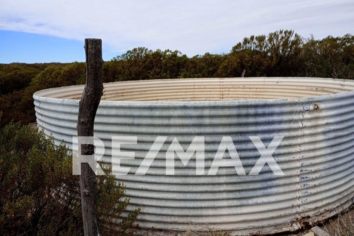Foto de VENTA DE CAMPO 11.000 HA. EN AGUADA GUZMAN, imagen 2