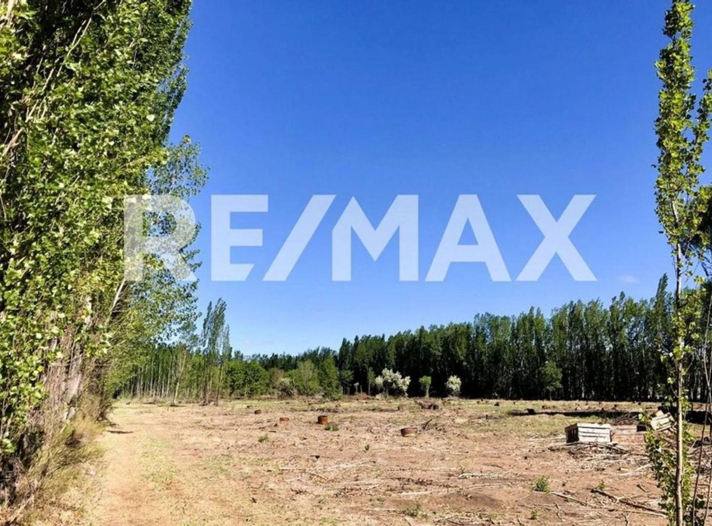 Foto de EN VENTA LOTE EN BARRIO CERRADO 600 M2 CIPOLLETTI, imagen 1