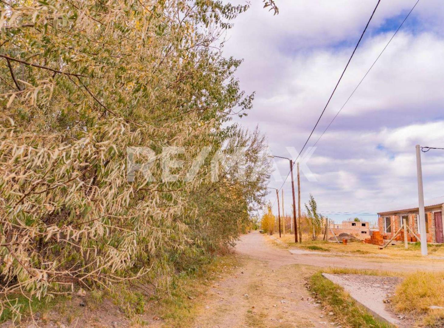 Foto de VENTA - TERRENO 330 m2 - B° BELLA VISTA, PLOTTIER, imagen 3