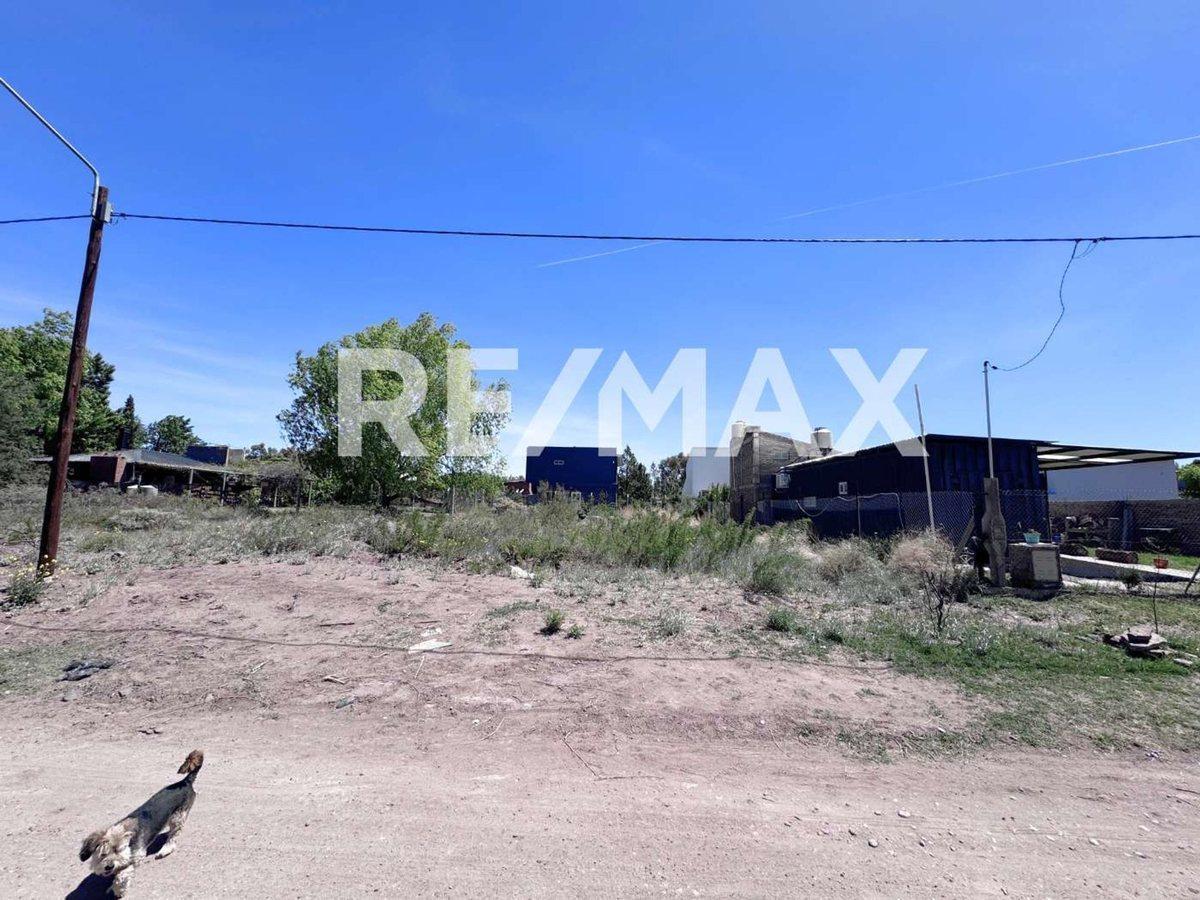 Foto de VENTA TERRENO 420 M2 VILLA EL CHOCÓN NEUQUÉN, imagen 4