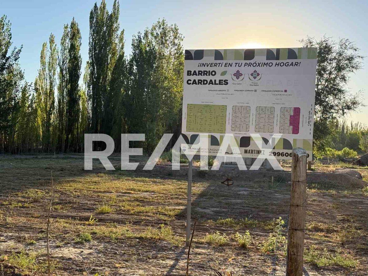 Foto de VENTA TERRENO RESIDENCIAL DE 510m2 BARRIO CARDALES, imagen 4