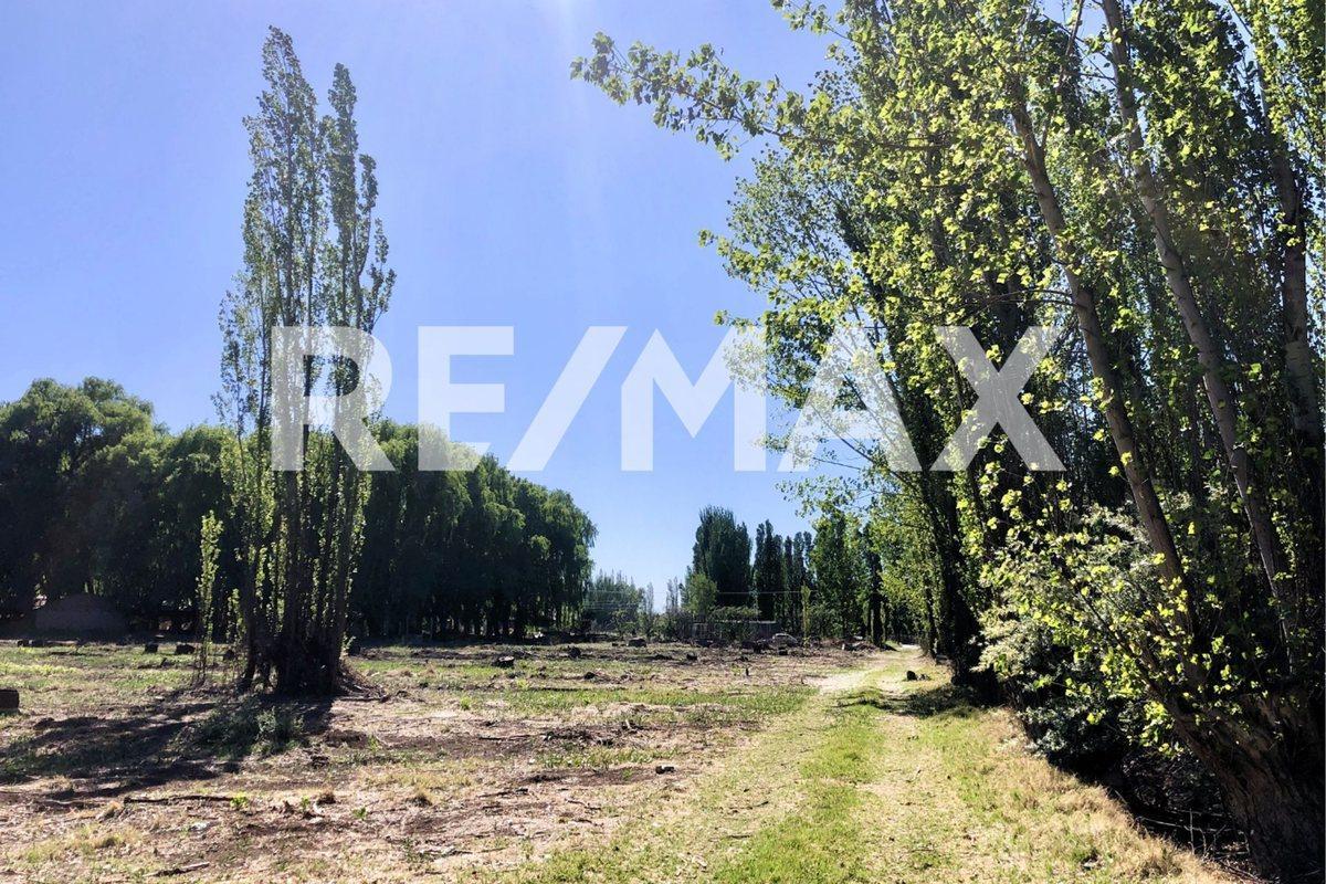 Foto de Lote 510m2 en venta - B° Cardales, Cipolletti, imagen 4