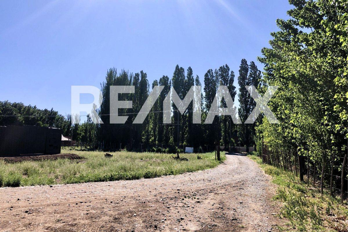 Foto de Lote 510m2 en venta - B° Cardales, Cipolletti, imagen 5