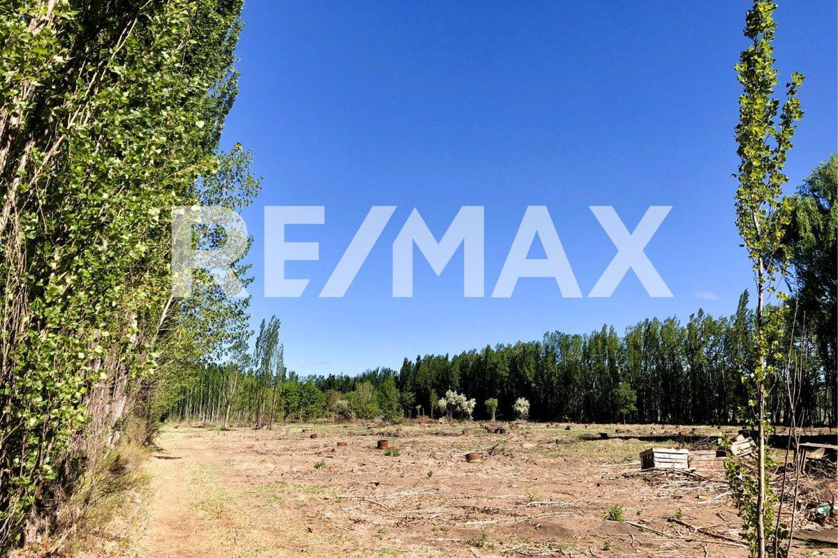 Foto de Lote 510m2 en venta - B° Cardales, Cipolletti, imagen 2