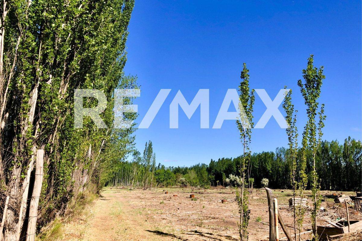 Foto de Lote 510m2 en venta - B° Cardales, Cipolletti, imagen 1