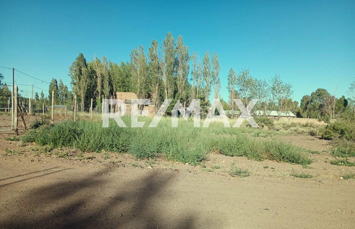 Foto de VENTA TERRENO 450 M2 VILLA EL CHOCÓN NEUQUÉN, imagen 3