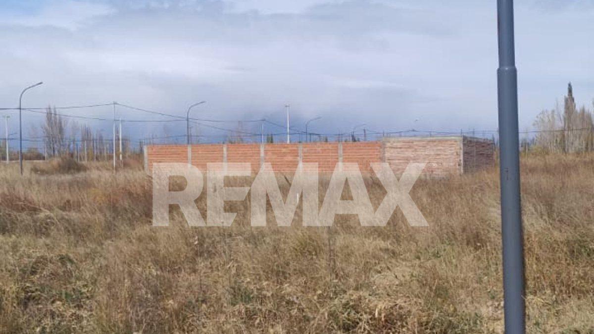 Foto de LOTE EN VENTA – BARRIO LAS ESCULTURAS | ALLEN, imagen 3