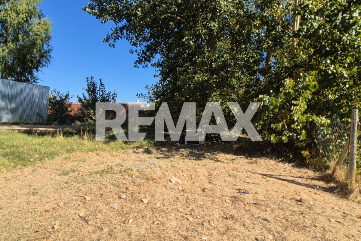 Foto de VENTA TERRENO MORADA LIFE PLOTTIER, imagen 3