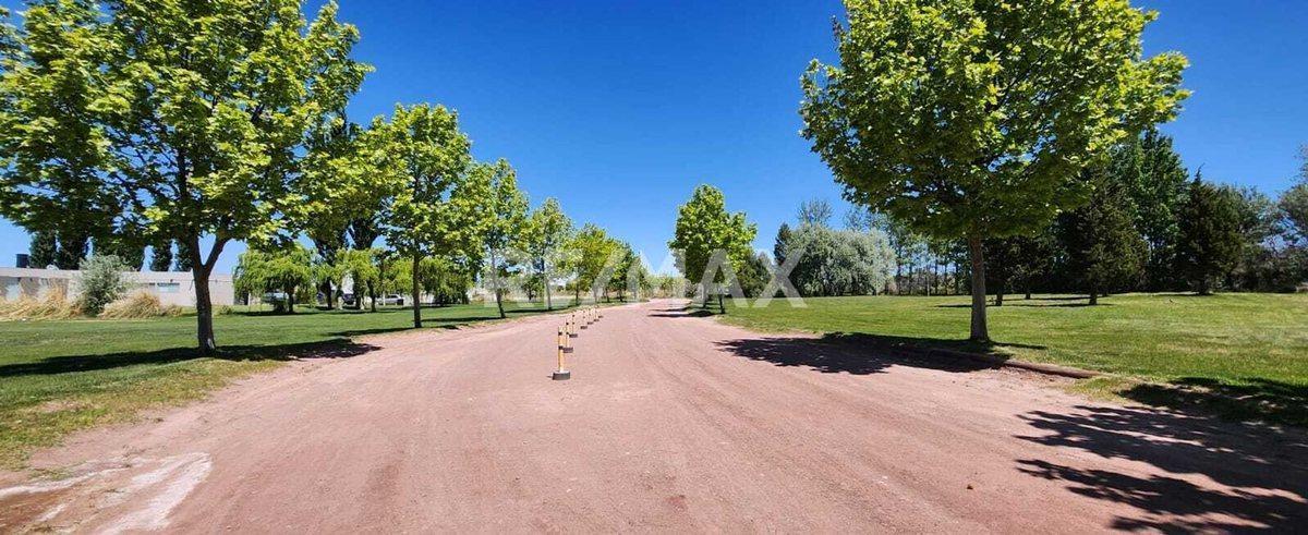 Foto de VENTA LOTE LAGO MARI MENUCO, LA PENINSULA, imagen 5