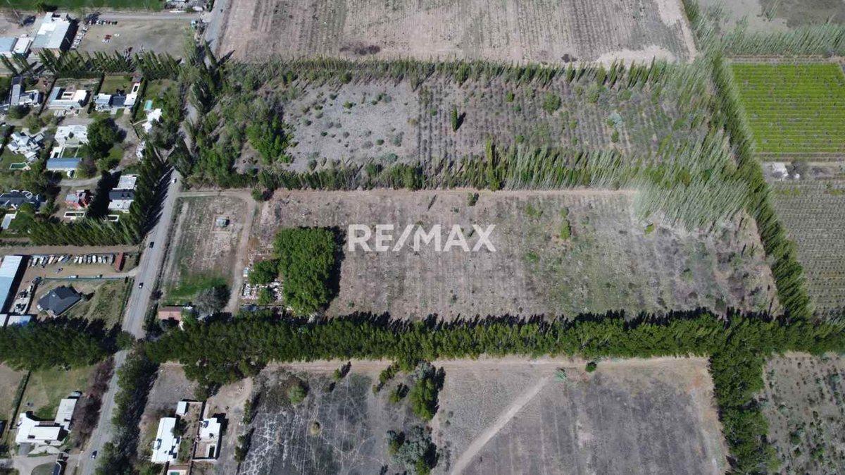 Foto de VENTA EXCLUSIVA | FINCA CARDALES | CIPOLLETI, imagen 5