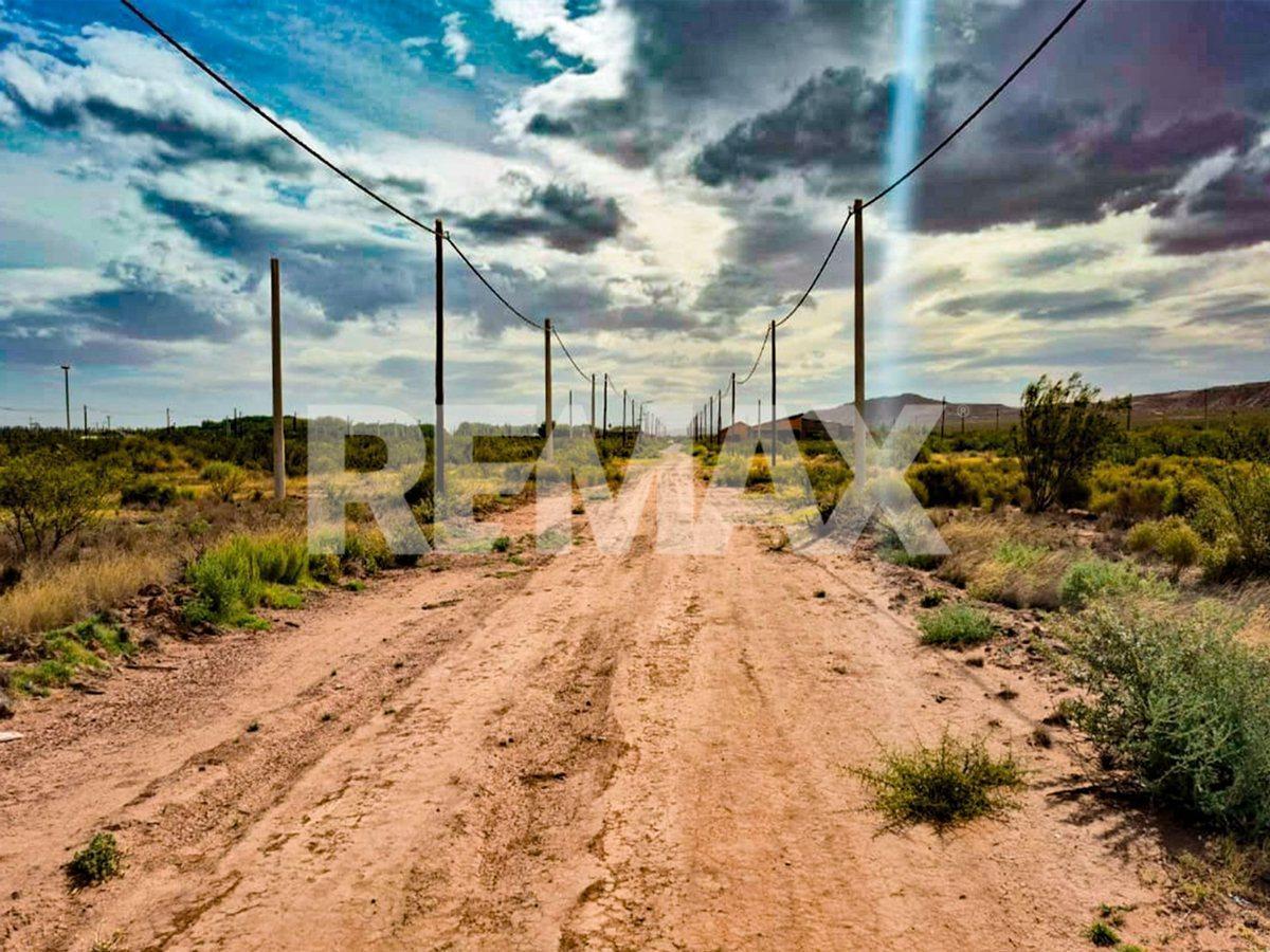Foto de VENTA LOTE AMEDEA - PLOTTIER, imagen 1