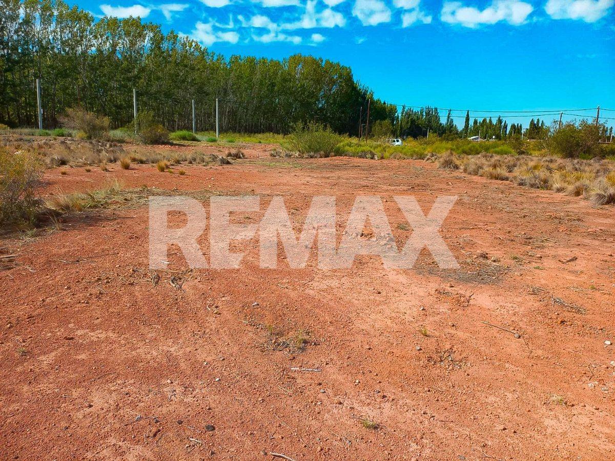 Foto de VENTA LOTE AMEDEA - PLOTTIER, imagen 4
