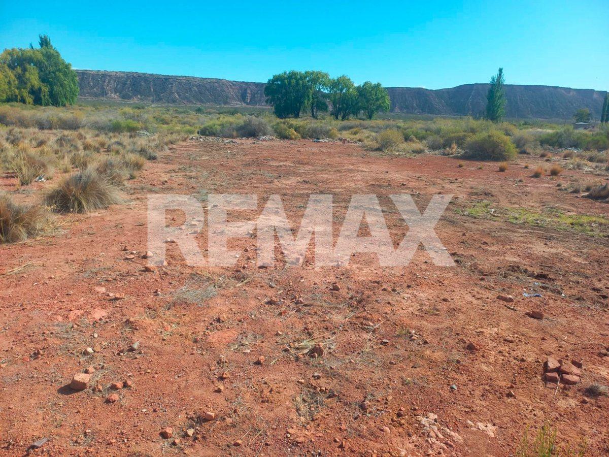 Foto de VENTA LOTE AMEDEA - PLOTTIER, imagen 3