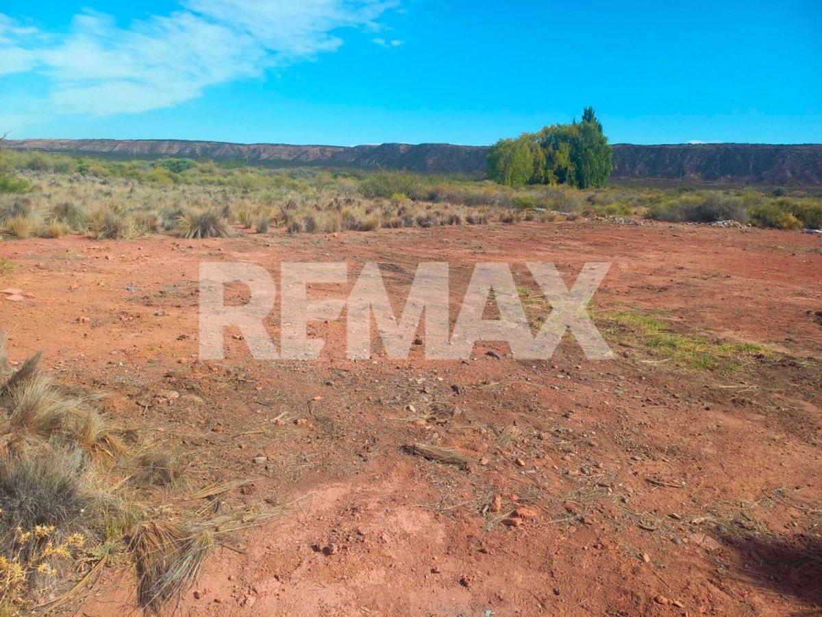 Foto de VENTA LOTE AMEDEA - PLOTTIER, imagen 2