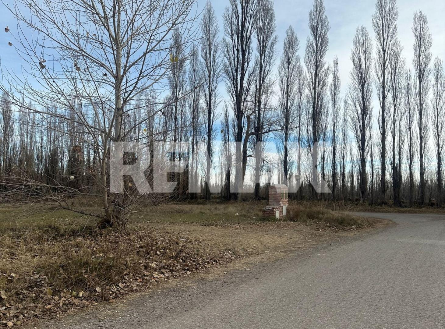 Foto de Venta lote B° Los Cerezos| 1 Plottier, imagen 2