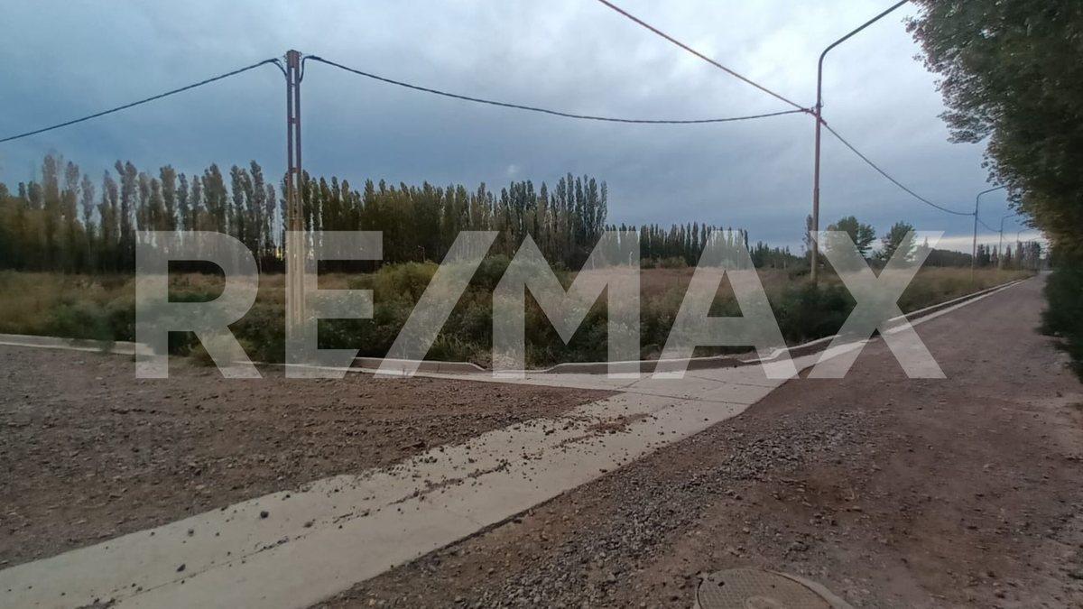 Foto de VENTA TERRENOS | LOTEO VANNICOLA | CENTENARIO, imagen 4