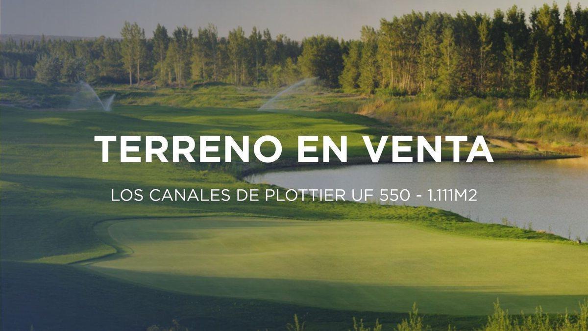 Foto de TERRENO EN VENTA EN LOS CANALES DE PLOTTIER, imagen 2
