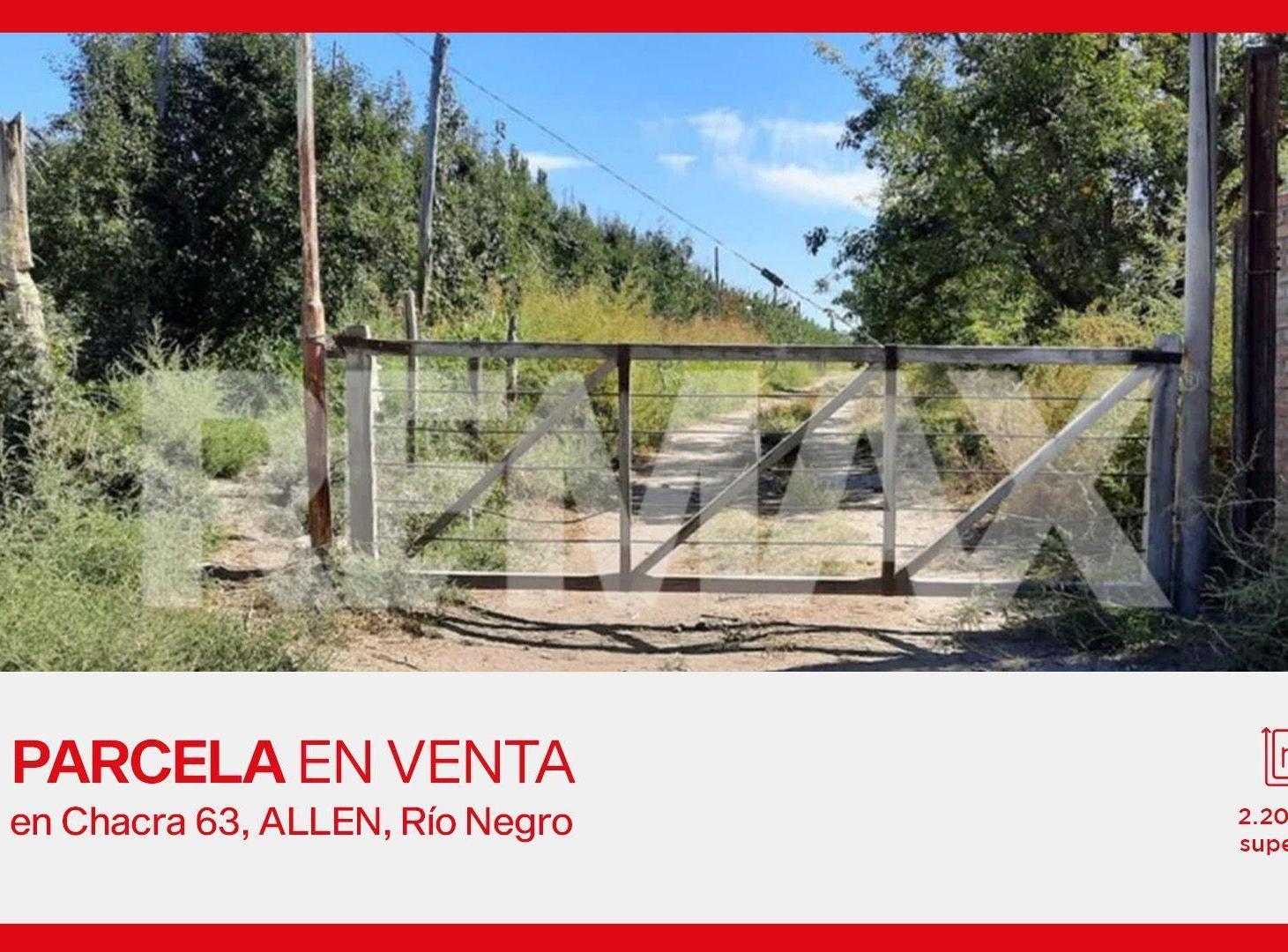 Foto de VENTA DE PARCELA EN CHACRA 63 ALLEN, RÍO NEGRO, imagen 3